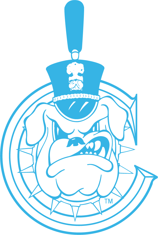 The Citadel Bulldogs 1987-2021 Alternate Logo diy iron on heat transfer